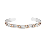 AJMC06 - Image 2